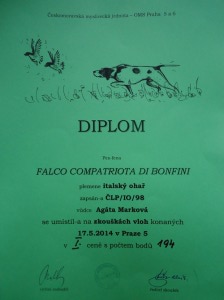 Diplom - Simon ZV