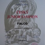 Sim Junior šampion