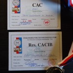 CAC, res. CACIB (MVP Praha 2. 5. 2015)