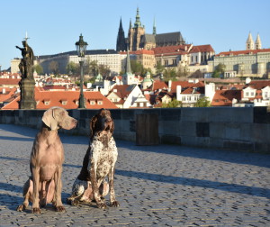 Pražský hrad