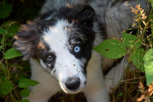 So sweet!...(A já jsem vidět v levém oku)