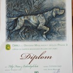 Delfín diplom ZV