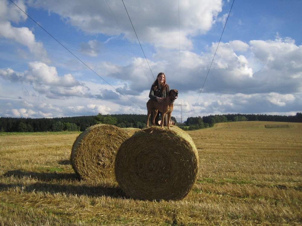 Jednou v létě