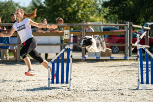 Spolupráce (září 2024, Toulcův dvůr, foto: Martin Zobač)