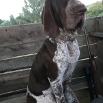 Maja, 1 rok