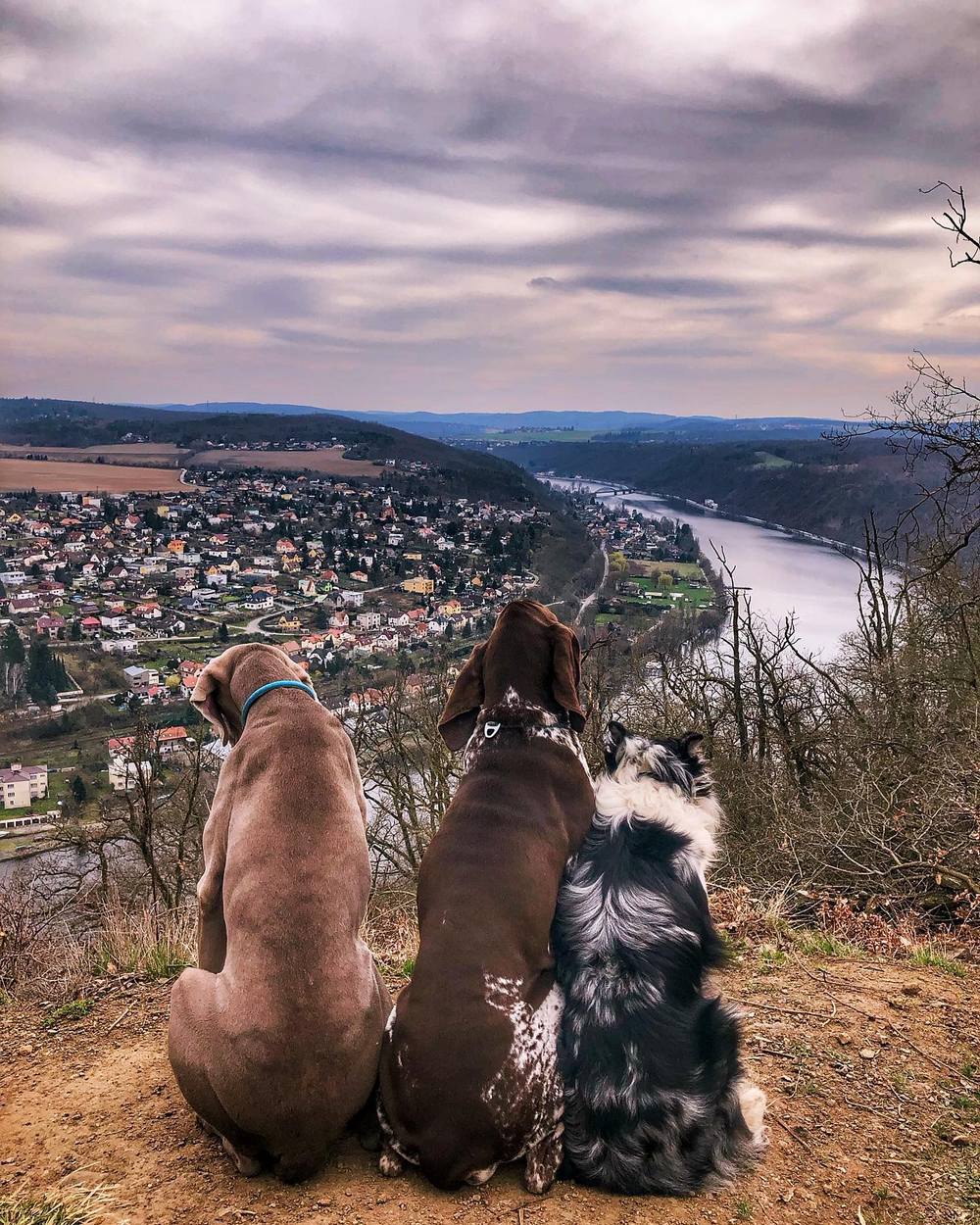 Vyhlídka na Vrané nad Vltavou