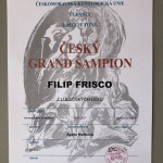 Delfín Grand šampion