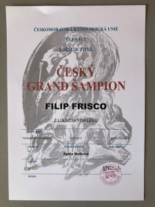 Delfín Grand šampion